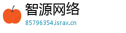 智源网络
